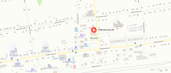 Управление социальной защиты населения по Козульскому району